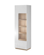 Witryna 1w z LED Futura FU-02